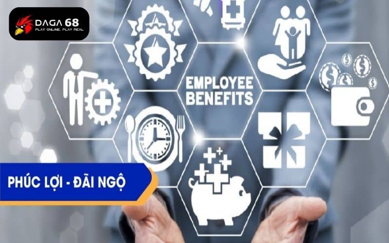 Tuyển dụng DAGA68 đưa ra nhiều phúc lợi cho nhân viên Tuyển dụng DAGA68 đưa ra nhiều phúc lợi cho nhân viên